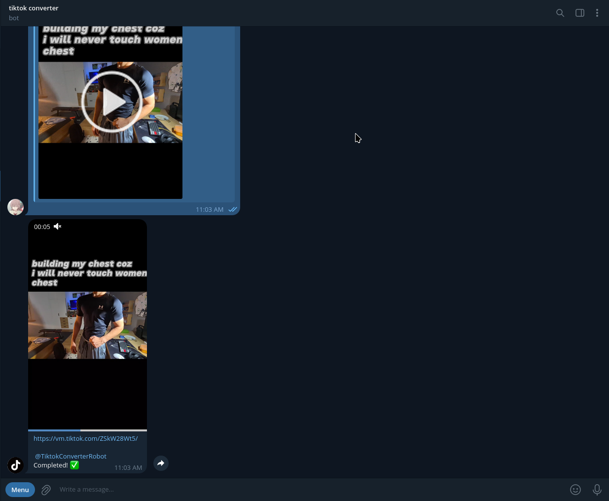 tiktok video downloader
